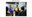 AAEA - Alumni of the Year Emailer Photo 2.png