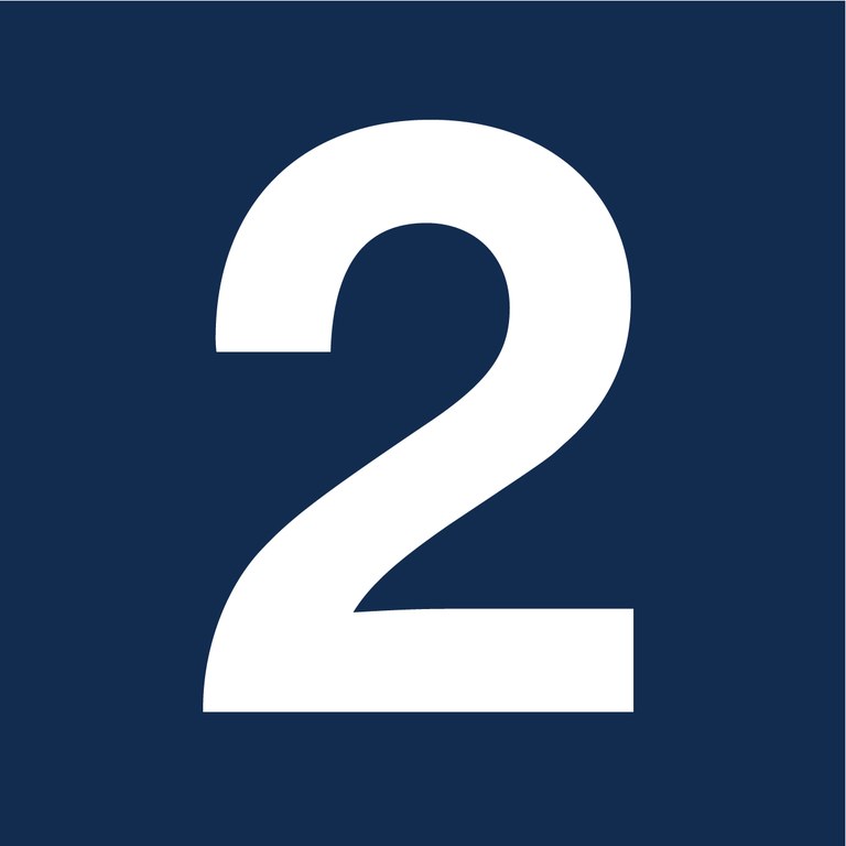 2 Icon.jpg