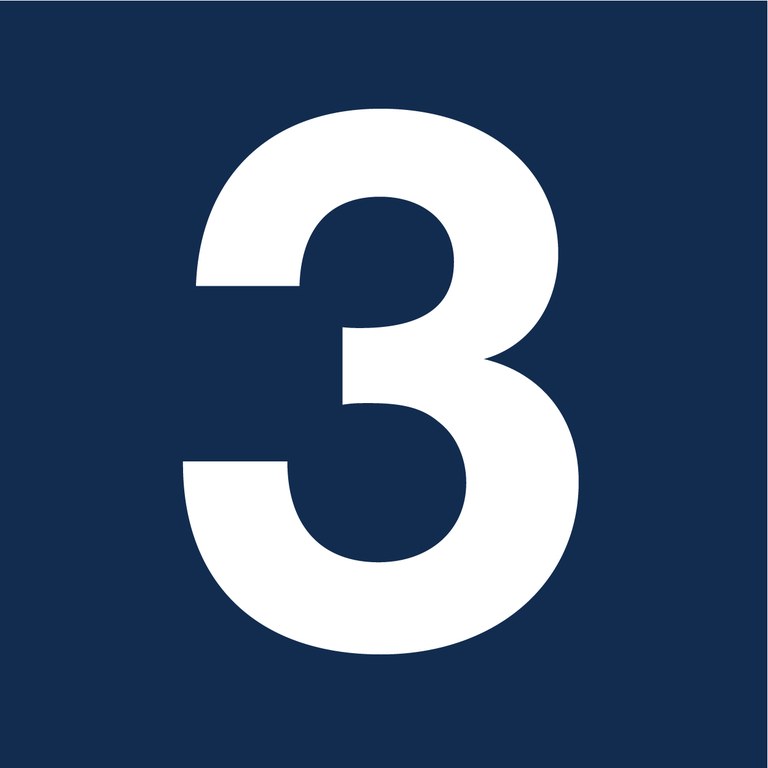 3 Icon.jpg