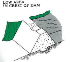 dam img 3.png