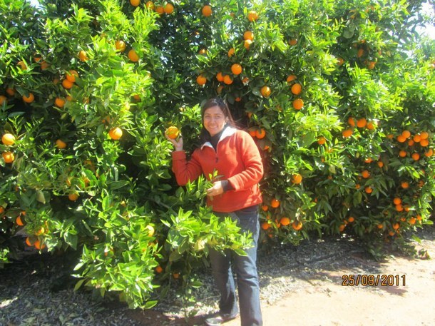 Four outstanding Australia Awards alumnae working to make a difference in the Philippine land sector4.jpeg