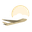 Airplane.png