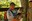 Boom Enriquez Image.jpg