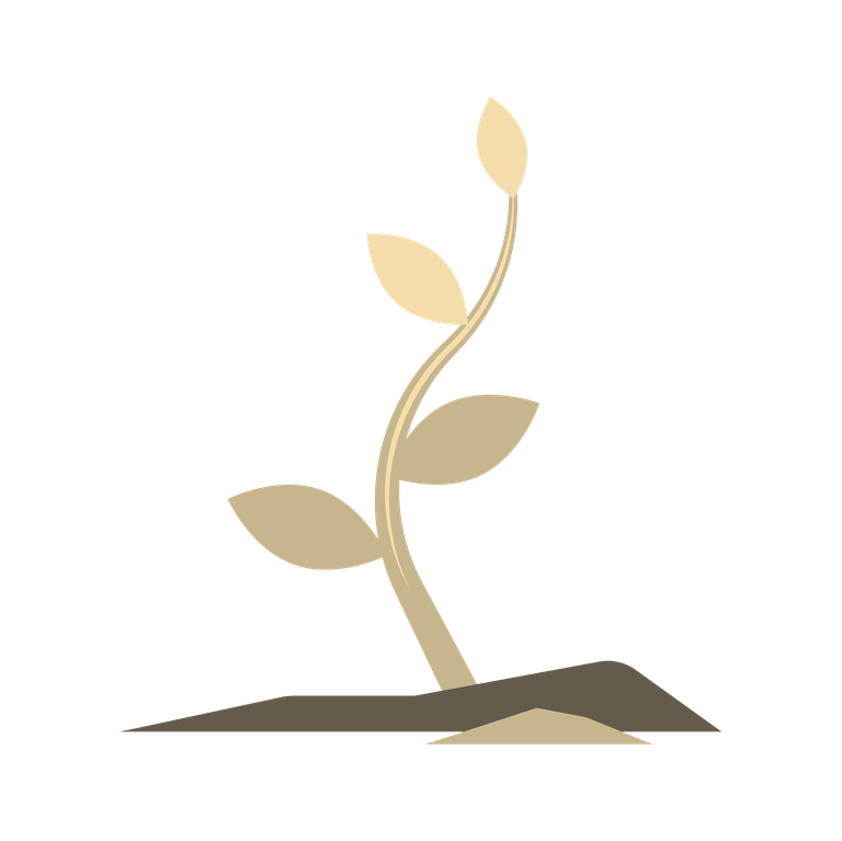 Natural-Resources.png