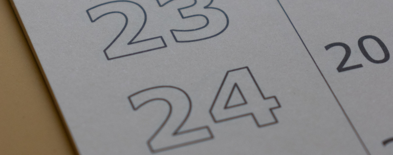 behnam-norouzi-2_l3lUpn4vE-unsplash@3x.png