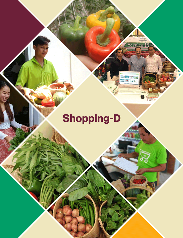 shoppingd3.png