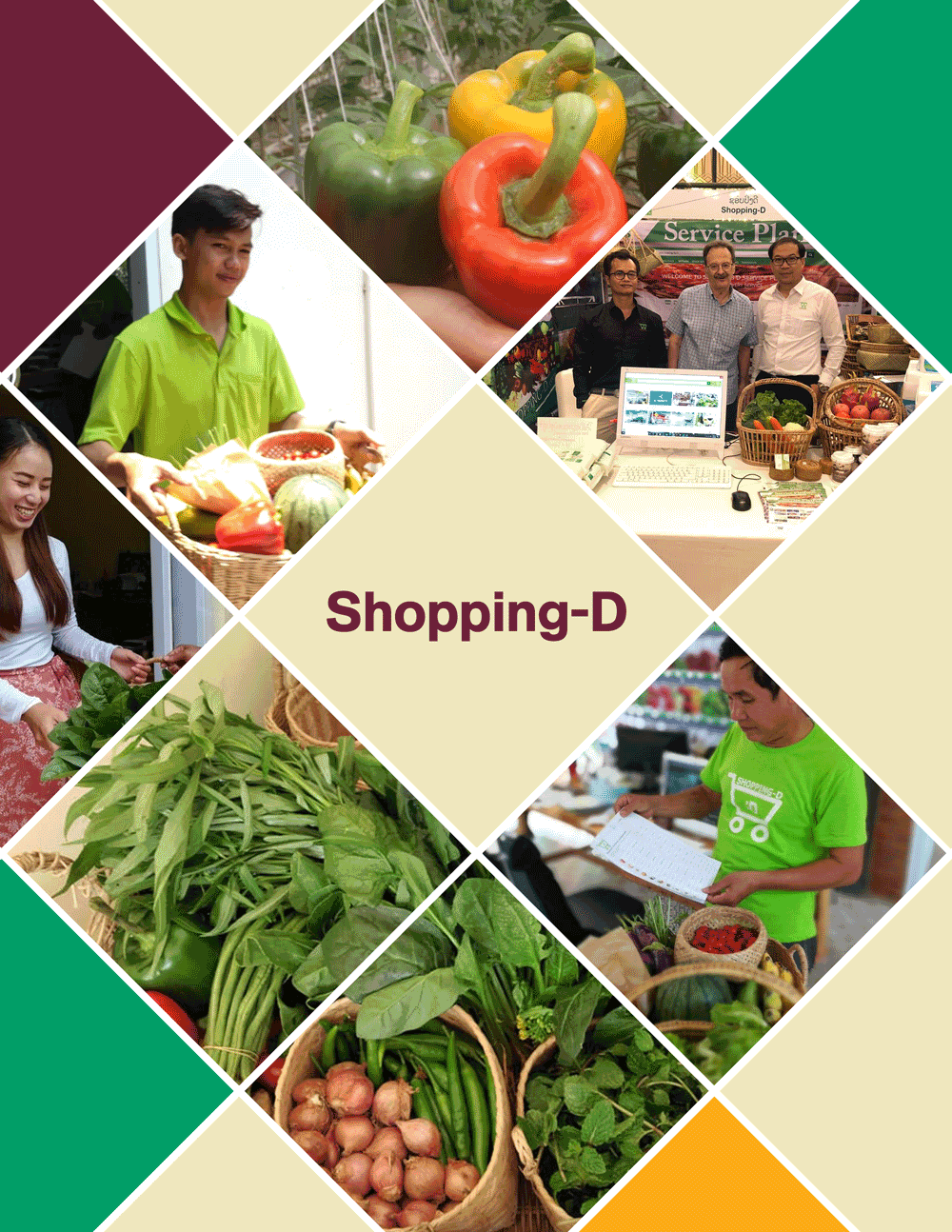 shoppingd3.png
