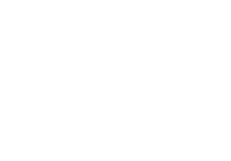 Australia Awards White Logo