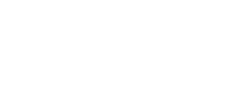 Australian Aid Logo All White