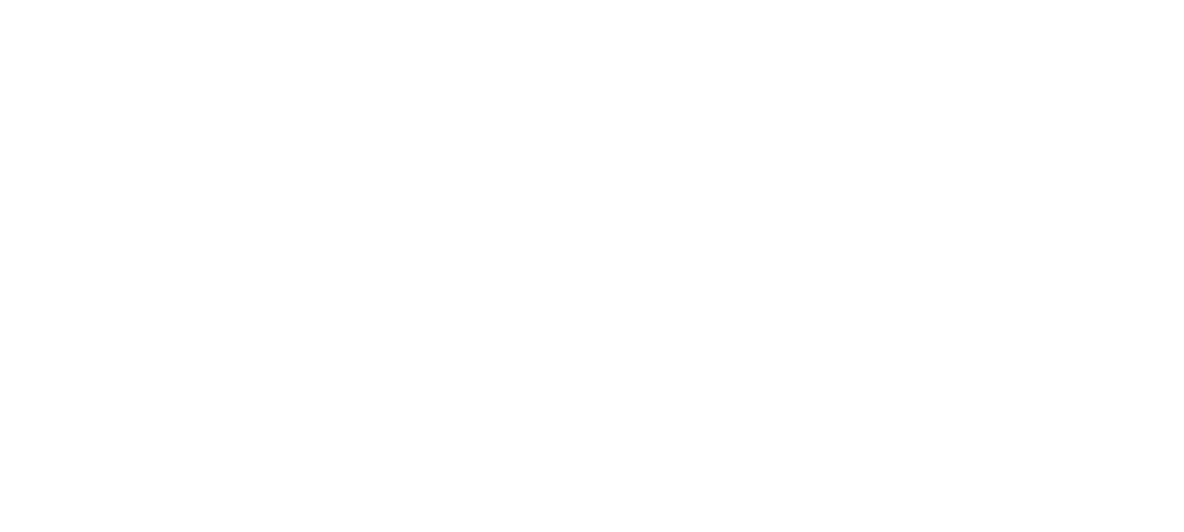 Australian Aid Logo All White