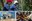 Collage-AGS.jpg
