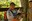 2020 Enriquez Boom Photo.jpg