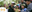 Milton Photo 615x243