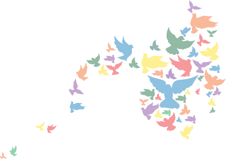ICSP Birds Colorful